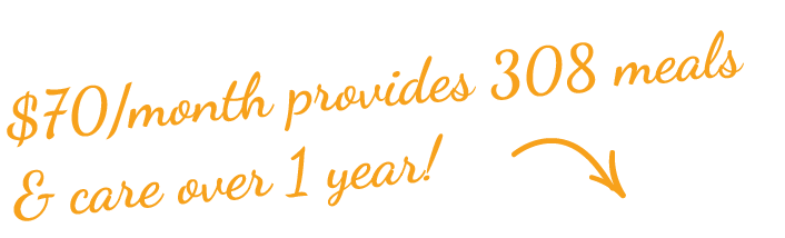 $70/month provides 308 meals & care over 1 year